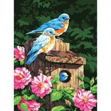 Womb Hobby Kuş Yuvası Sayılarla Boyama Seti 40 x 50 cm (Tuvale Gerili)