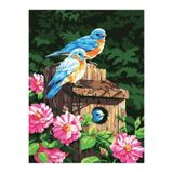 wombhobby Kuş Yuvası Sayılarla Boyama Seti 40x50 Cm (TUVALE GERİLİ)