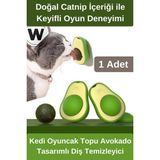 Wonara #kedioyuncağı Özel Üretim Catnip Kedi Oyuncak Topu Avokado Tasarımlı Diş Temizleyici Stres Azaltıcı Doğal Kedi Nanesi Içerikli Ağız Hijyen Destekleyici Sağlıklı Interaktif Oyun Aparatı - Çok Renkli