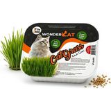 WonderCAT Topraklı Koruyucu File Hediyeli Kedi Çimi