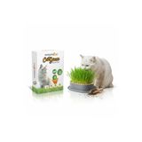 WonderCAT Topraksız Kedi Kulaklı Kedi Otu Mix Karışım Kedi Çimi