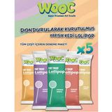 Wooc Dondurularak Kurutulmuş 5x1.4 gr Kedi Ödülü Lolipop