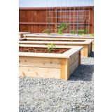 Woodensa Ahşap Sebze Tarhı Ahşap Büyük Boy Bahçe Saksı Sebze Bahçesi 60x120 cm