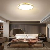 Woodhub Gold Şerit Akrilikli Kumandalı Dimli 3 Işık Renkli 50 cm LED Tavan Lambası, Modern Aydınlatma - 1 - Ahşap