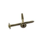 WoodPro Fasteners ST14X112B 1/4-inç x 1-1/2-inç Uzunluk Yuvarlak Yıkayıcı Başlı Dış Ahşap Vidalar, 250'li Paket, Altın