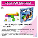 Woody Ahşap 3 Boyutlu Geometrik Zeka Oyunu