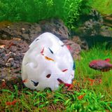 Woof Akvaryum Karides ve Küçük Balık Saklanma,Üreme Mağarası,Saklanma Alanı 8 cm