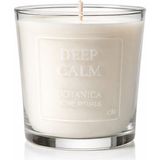 World Araştırma Deep Calm – Lavanta & Sandal Ağacı Kokulu Cam Kavanoz Mum (380 Ml) | Botanica Home Rituals - 1 Adet