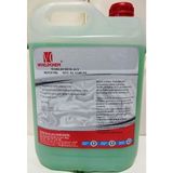 Worldchem Aly Sıvı El Sabunu 5 lt