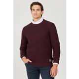 Wrangler Bisiklet Yaka Regular Fit Şarap Erkek%100 Pamuk Kazak W232580810 XL