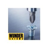 WUNDER Sunta vidası 3.5 X 40 mm (100 adet)