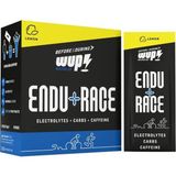WUP Endurace Limonlu 15 Porsiyon, Toz Sporcu Besini Karbonhidrat Elektrolit Kafein