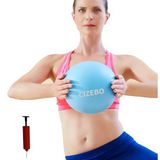 WX 20,32 cm Egzersiz Topu, Küçük Egzersiz Topu Mini Yoga Topu, Pilates Topu 20,32 cm İğne Pompası, Core Ball Barre Antrenman Patlamaz 20,32 cm Top Stabilite Fiziksel Terapi Fitness için, Mavi