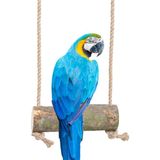 X-Perk Papağan Kuş Salıncağı Tüneği Kuş Tünek Kuş Merdiveni Kuş Salıncak Büyük Boy 17 cm - Ahşap - Papağan salıncağı 17 cm