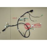 X-rpo Elektirik Tesisatı