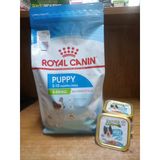 X-Small Puppy Yavru Köpek Kuru Maması Kuru Köpek Maması 1.5 Kg+4 Adet Somon&Kuzulu Karışık Aroma Köpek Pate Konserve 85 Gr