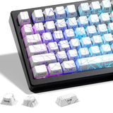 x XVX Shine Through Keycaps w/IMD Tech, Özel Örümcek Web Keycaps 60 75 Yüzde 100, Beyaz Tuş Takımı Satırları Arkadan Aydınlatmalı, OEM Profil Tuş Kapağı, Klavyeler için Yan Baskılı Klavye Keycaps