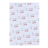Xerox A4 120 gr Colotech Silk 250'li Fotokopi Kağıdı