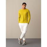 Xint Erkek Sarı Pamuk Dokulu Regular Fit Tişört - 2XL