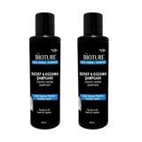 Xlan Bioture Eg.zama Sede.f Tahribatlarını Döküntülerini Onaran Bakım Şampuanı 200 Ml X 2 Ad