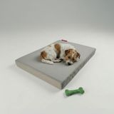 Xpermate Büyük Irk Köpek Yatağı Fermuarlı Yıkanabilir Su İtici Evcil Hayvan Yatağı Pati Minder (60 x 80 cm)