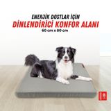 Xpermate Patiminder Köpek Yatağı Büyük Irk Köpek Yatağı 60 x 80 CM antrasit