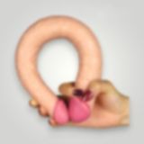 xShopum 36 cm Realistik Çift Uçlu Esnek Anal ve Vajinal Dildo