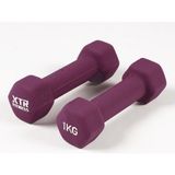 XTR Fitness Vinyl Neoprene Dambıl Seti 2 Adet 1 Kg Mor - Kaydırmaz Premium Kalite - 1 kg x 2 Adet