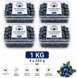 Yaban Mersini (Canberry) - 1 kg