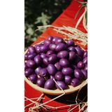 Yaban Mersinli Zeytin Gurme Seri: Yaban Mersini Dokunuşlu Zeytin Mor Zeytin Mor Lezzet: Yaban Mersinli Zeytin - 5 kg