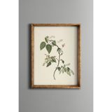 Yabani Meyveli Dal İllüstrasyonu - Vintage Desenli Çerçeve - İnce Model, Altın1, 21 x 30