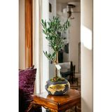 Yades Gold World Saksıda Bonsai Zeytin Ağacı