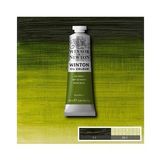 YAĞLI BOYA 37 ML. 37 SAP GREEN
