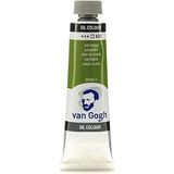 Yağlı Boya 40 ml 617 Yellowish Green