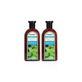 Yağlı Saçlar Için Isırgan Otu Şampuanı 300 Ml Şampuan 2 Li
