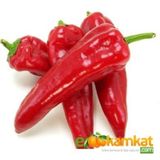 Yağlık Biber Tohumu 25 gr Paket