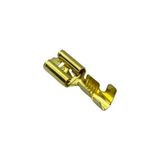 Yağmur Dişi Fiş Standart Tırnaklı (6.3 Mm) (DF2T)