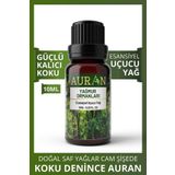 Yağmur Ormanları Esansiyel Uçucu Koku Yağı Buhurdanlık Yağı Esans Hava Nemlendirici Kokusu 10ml