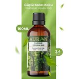 Yağmur Ormanları Esansiyel Uçucu Koku Yağı Ortam Kokusu Doğal Yağ Sihirli Küre Hobi Esansı 100ml