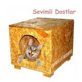 Yağmura Ve Soğuğa Dayanıklı Osb Kedi Evi Su Geçirmez 40x40x30 Cm