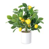 Yahallow Limon Dekoru için Yapay Limon Ağacı, 18 "Sahte Limon Ağacı, Ev Mutfak Dekoru Oturma Odası Ofisi için Yapay Saksı Limon BitkisiLimon Dekoru için Yapay Limon Ağacı,