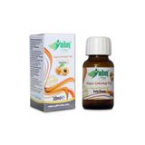 Yalın Vital Kayısı Çekirdeği Yağı 30 ml | %100 Saf ve Doğal Soğuk Sıkım ( Cam Damlalık Hediyeli )