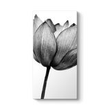 Yalnız Gelincik Tablosu 60 x 120