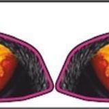 Yamaha R25 2019 - 2024 Uyumlu Far Sticker 003