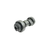 Yamaha Ybr 125 Eksantrik Mili Oem