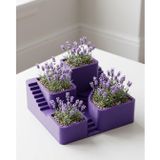 YamanHobi 3D Kaktüs Saksısı Modern Çok Bölmeli Dekoratif Tasarım