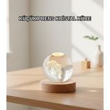 YamanHobi LED Aydınlatmalı 3D Küçük Prens Kristal Küre Ahşap Standlı Masa Gece Lambası