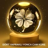 YamanHobi Yonca Bitki Figürlü LED Işıklı Cam Küre USB Ahşap Standlı Gece Lambası
