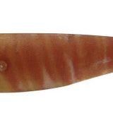Yamashita Toto Sutte R WS95NC 9.5Cm Glowlu Natural Kalamar Zokası F/AE