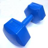 Yanaşık Spor 1 x 6 kg Plastik Dambıl - Mavi